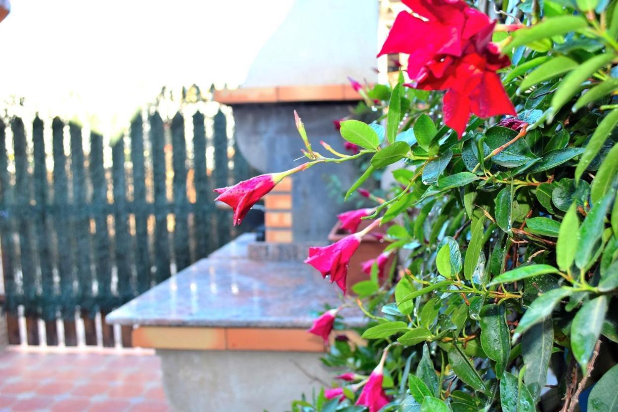 Bungalow En Camping De La Manga 外观 照片